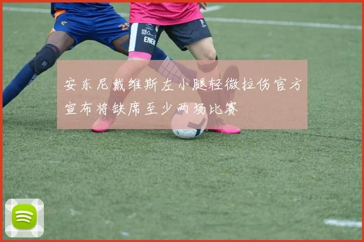 安东尼戴维斯左小腿轻微拉伤官方宣布将缺席至少两场比赛