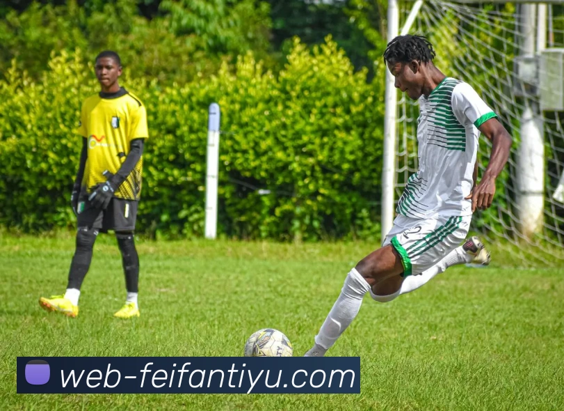 非凡体育服务体系